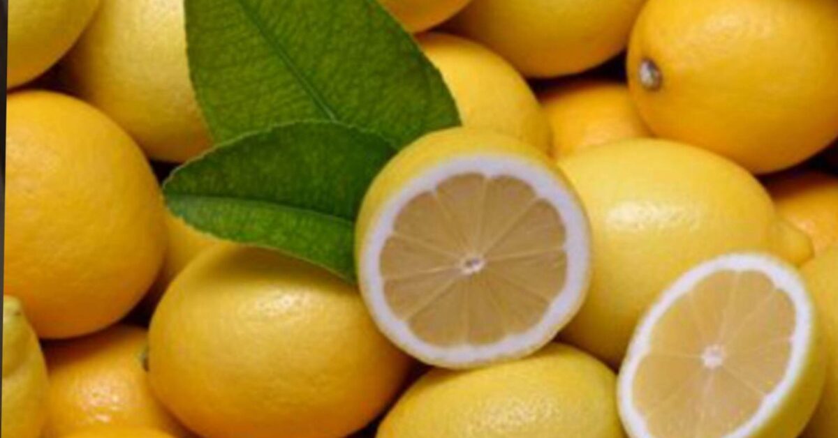 Come Usare Le Foglie Di Limone In Cucina E Non Solo