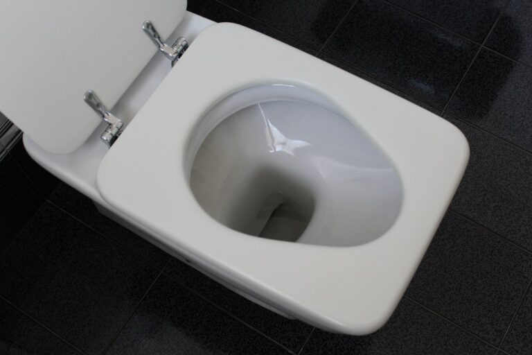 Wc Pulitissimo Trucchetti Per Dire Addio Alle Macchie Gialle