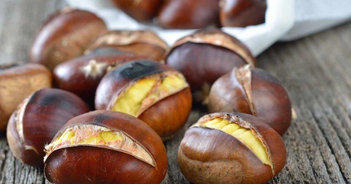 Bucce Di Castagne Come Usarle Per Le Tue Piante