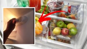 La temperatura del frigo corretta per non far deteriorare il cibo