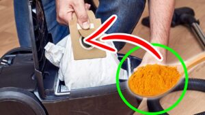 Metti un cucchiaio di questo ingrediente segreto nell’aspirapolvere e la tua casa sarà profumata come non mai