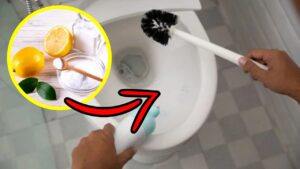 Come realizzare un detergente per il wc fatto in casa: lucida e igienizza