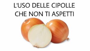 L’uso delle cipolle che non ti aspetti