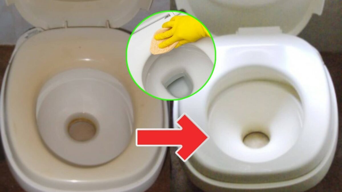 how-to-make-a-yellowed-toilet-seat-white-again-a-few-steps-for-a