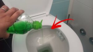 Hai mai pensato di versare il DETERSIVO nel WATER? Perché dovresti farlo