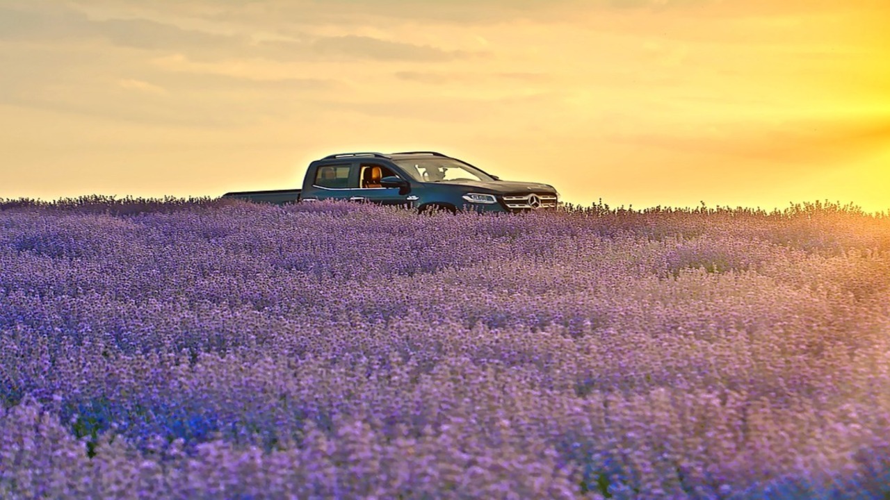 auto in campo di lavanda