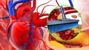 Cosa mangiare per proteggere cuore e arterie