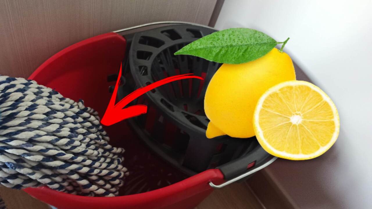 secchio e limone