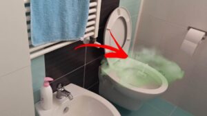 Il trucco geniale per dire addio ai cattivi odori del bagno