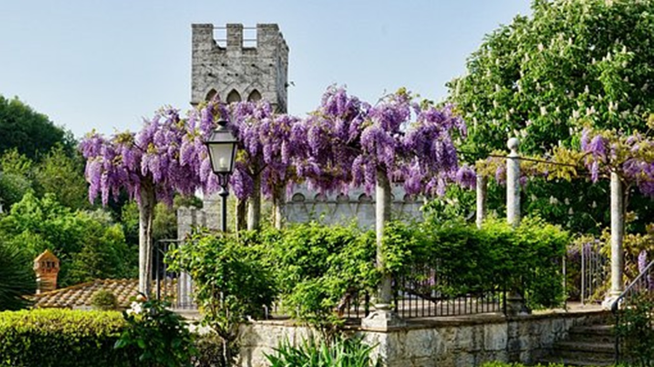 albero fiorito