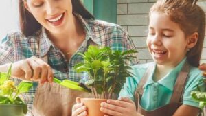 Il tronchetto della felicità, la bellissima pianta che depura gli ambienti