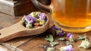 Come usare la malva per preparare infusi e tisane