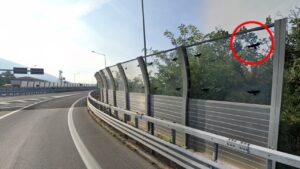 Cosa ci fanno delle sagome nere di uccelli sui “vetri” delle autostrade? Hanno uno scopo preciso e tutti dovrebbero conoscerlo