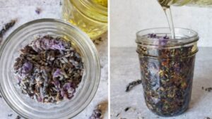 Come preparare l’oleolito alla lavanda partendo dai fiori essiccati