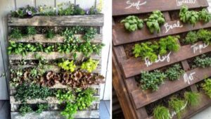 Come creare un giardino verticale sul proprio balcone senza spendere soldi: da dove iniziare e cosa fare