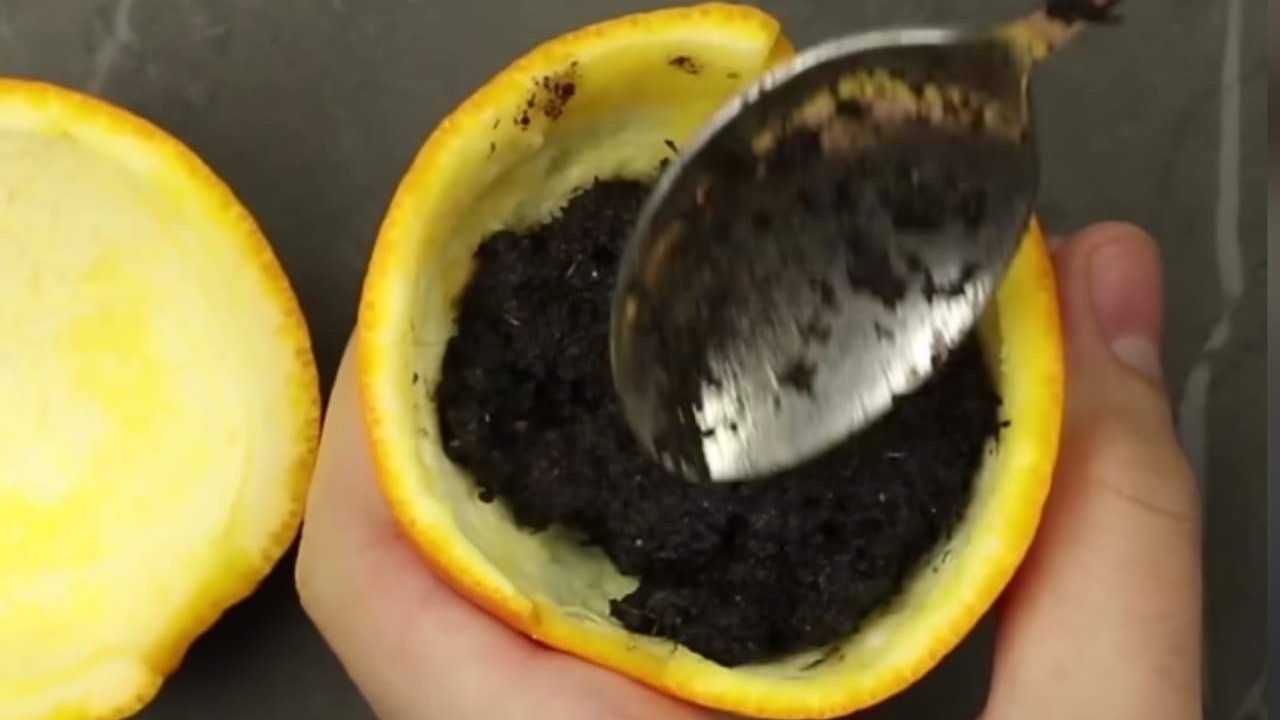 Riempire bucce d'arancia con terra