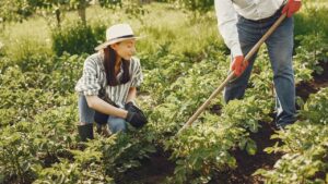 Hai un orto? Allora giugno è il momento per coltivare questo prodotto molto ricercato