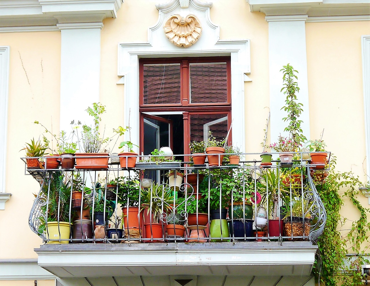 Balcone pieno di piante