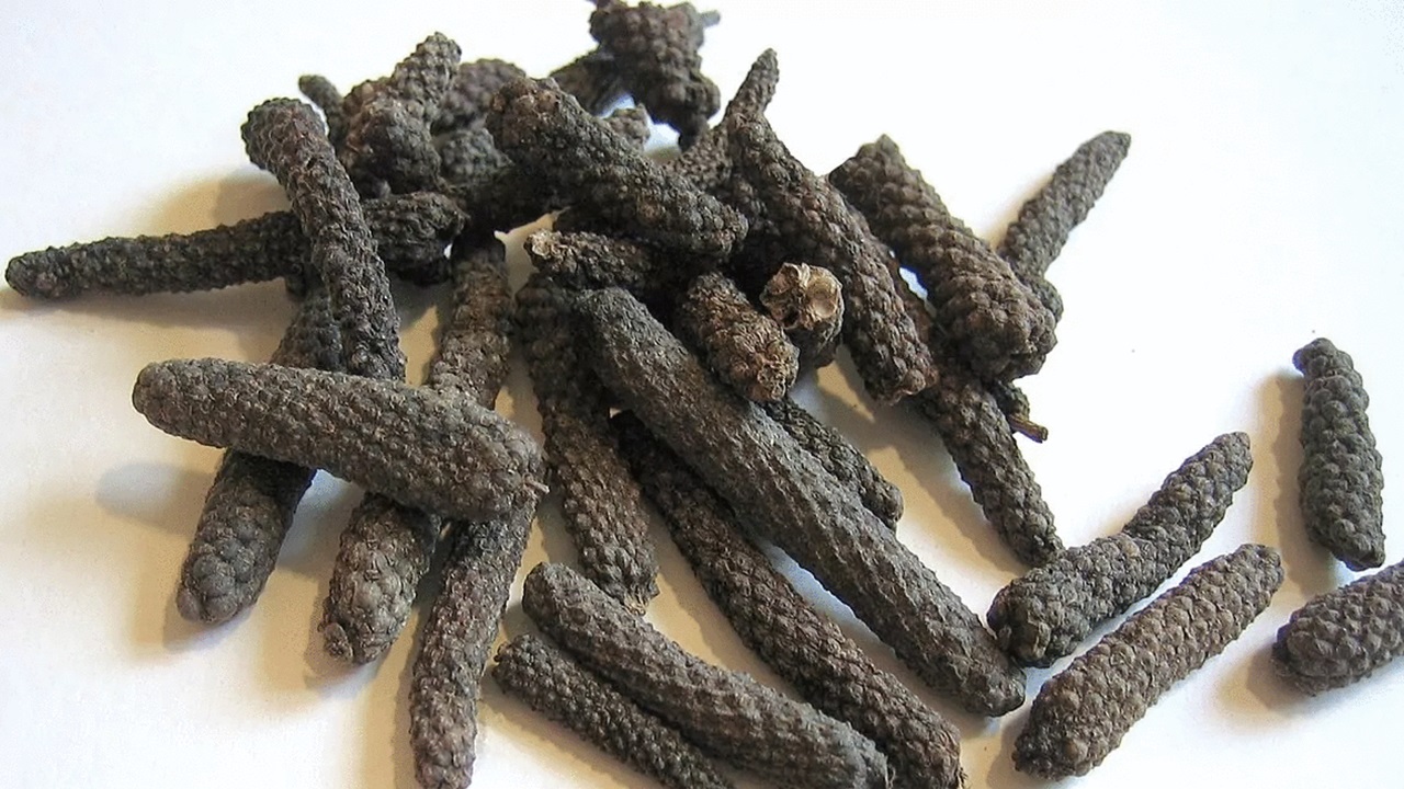 long pepper