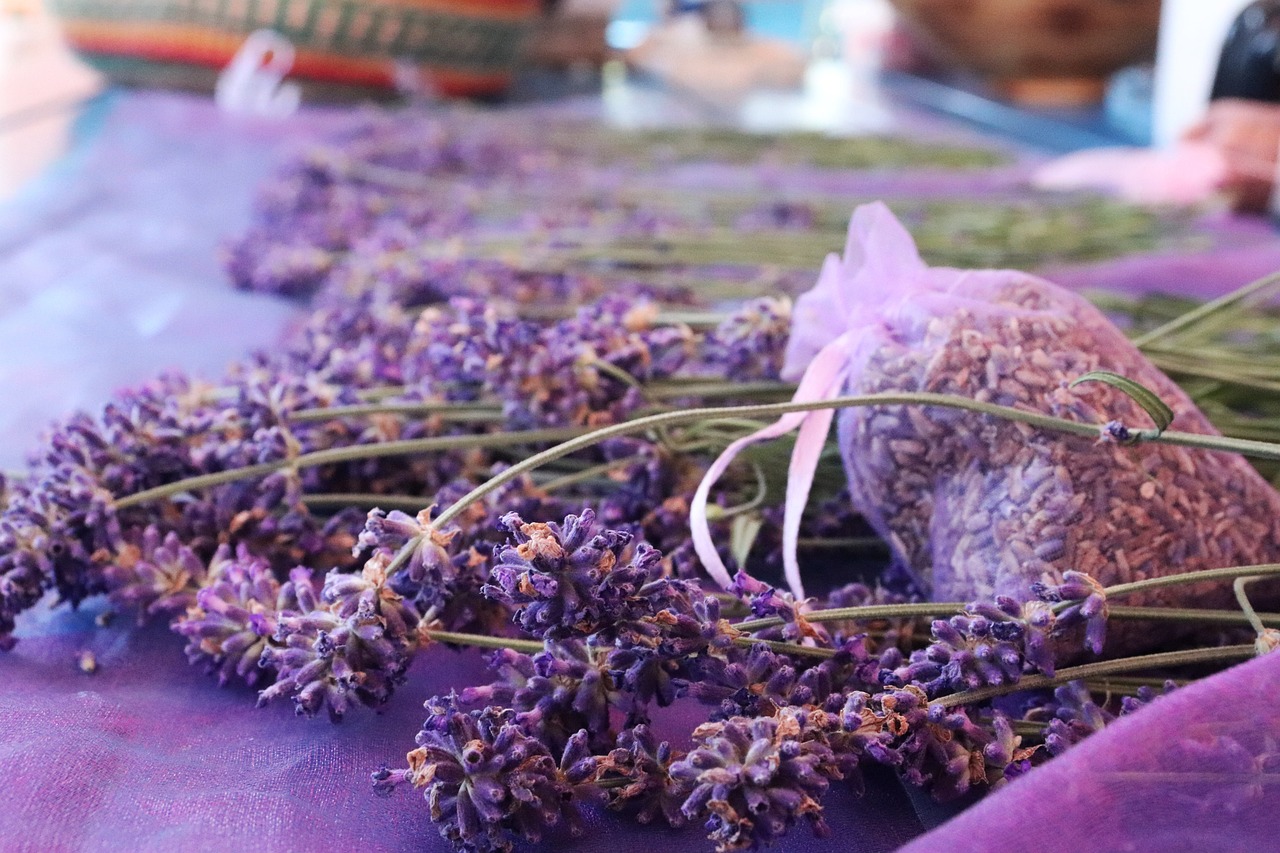 lavanda