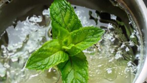 Fai come la nonna, metti a bollire 3 foglie di menta: ti svelo a cosa serve questo trucchetto