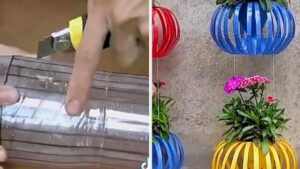 Realizza qualcosa di unico con le bottiglie di plastica, i tuoi vasi saranno bellissimi