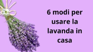 6 modi per usare la lavanda in casa