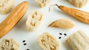 Luffa: gli usi e come ricavare una spugna vegetale