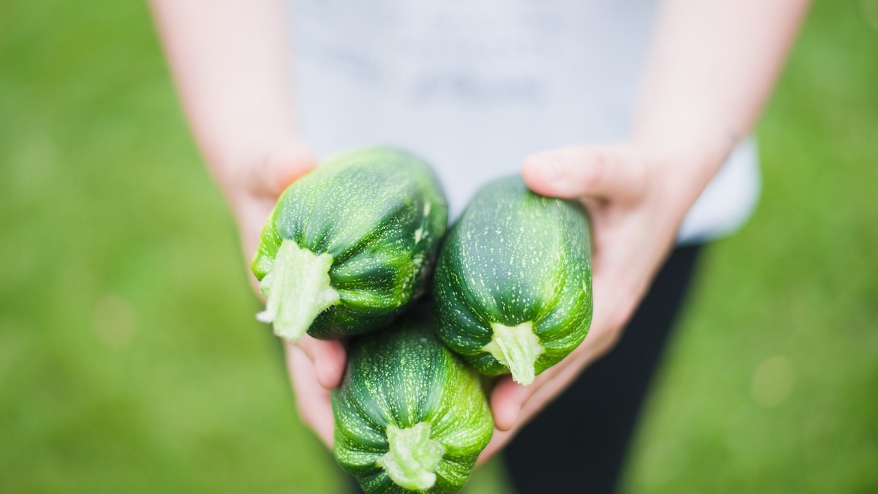 zucchine mature