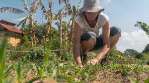 Non dimenticare di fare questi lavori in giardino a settembre