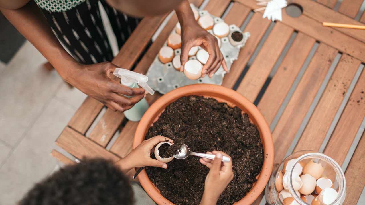 Gusci d'uova come fertilizzante