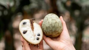 Annona: tutto quello che non ti hanno mai detto su questo frutto