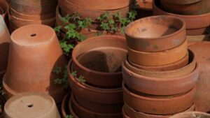 I vasi di terracotta vanno puliti: ecco come fare