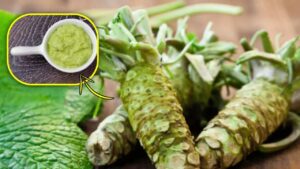 Wasabi giapponese, una pianta dalle spiccate note piccanti: tutto quello che dovresti sapere