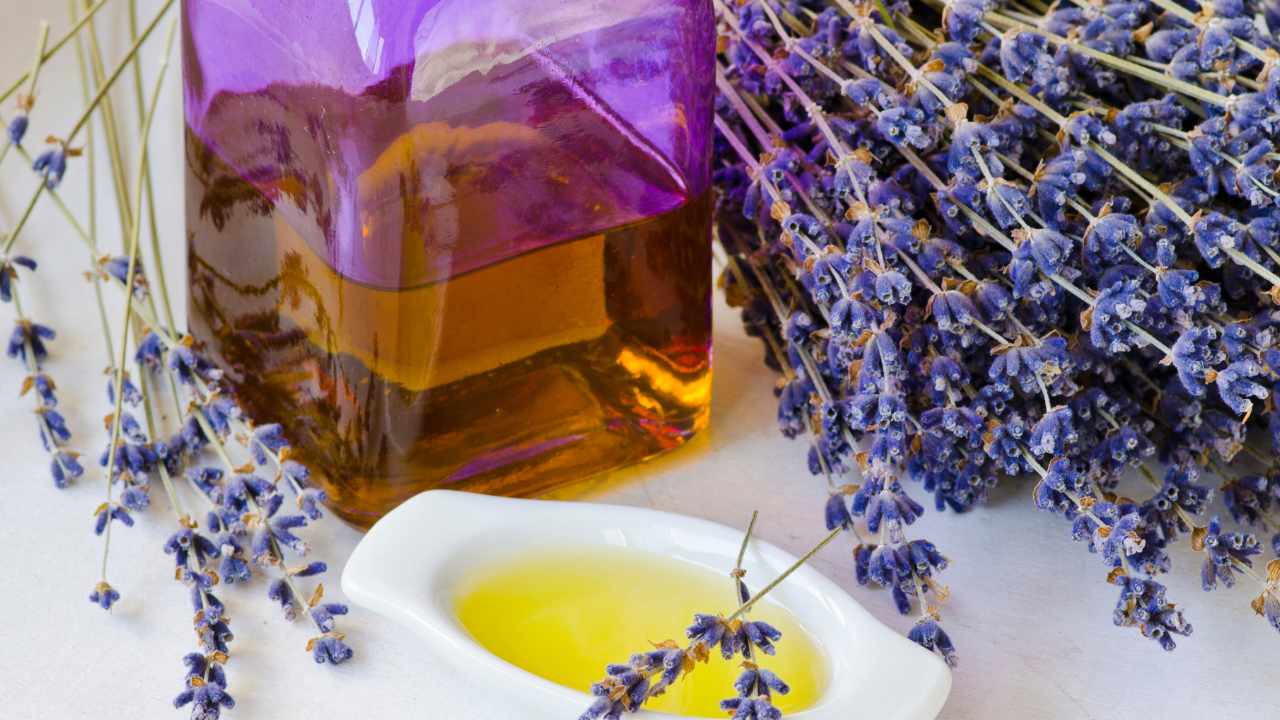 Come fare l'olio essenziale di lavanda in casa: il metodo semplice ed  efficace