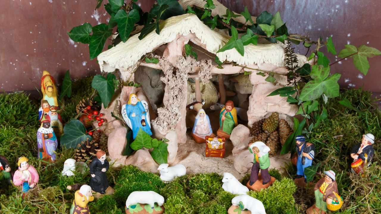 Muschio presepe