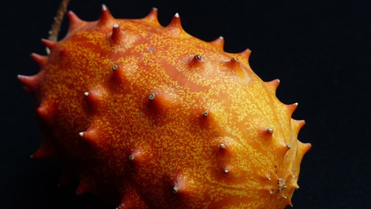 kiwano