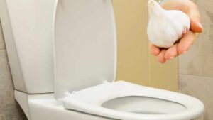 Pulire il wc con l’aglio, il trucchetto che sta spopolando