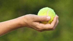 Il consiglio del giardiniere: ecco perché gli inglesi lasciano le palline da tennis nel loro giardino in inverno