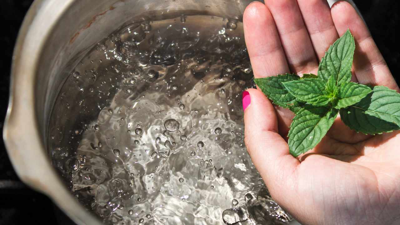 menta e acqua bollente