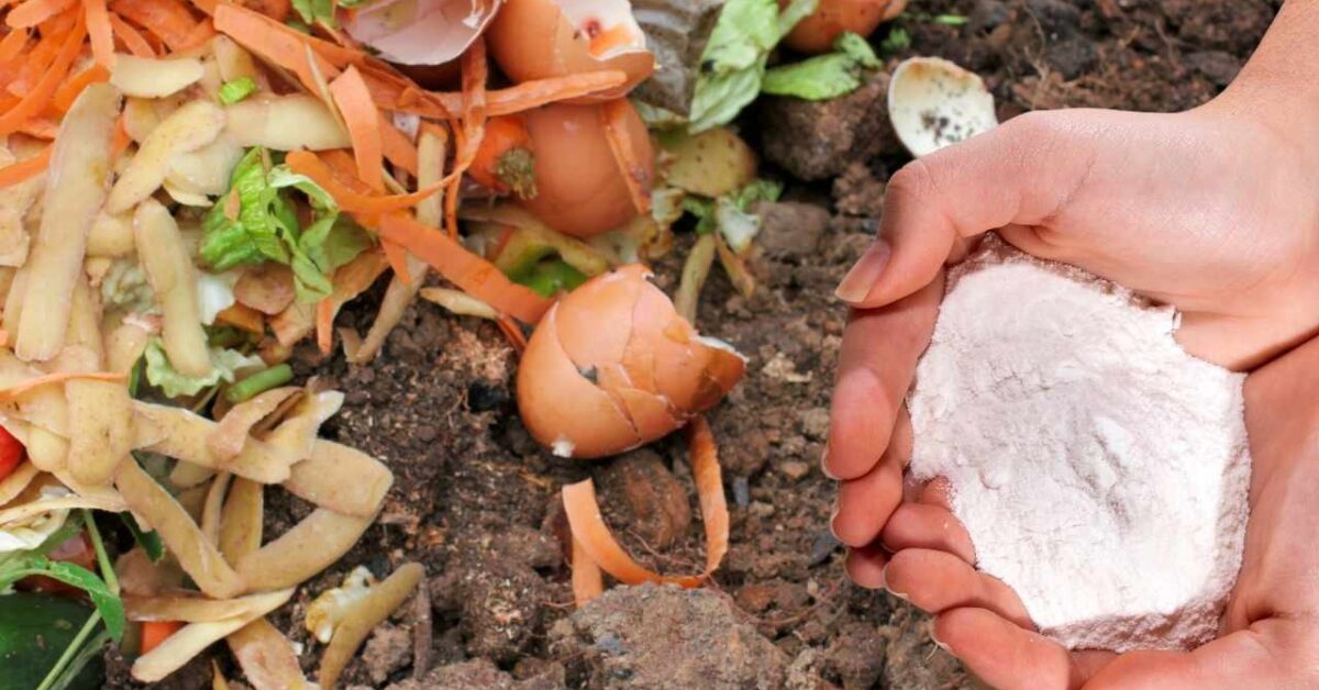 Il Segreto Del Bicarbonato Di Sodio Per Rivoluzionare Il Tuo Compost