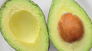 I mille usi dei noccioli di avocado nel giardinaggio