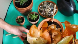 Come usare le bucce di cipolla in giardino per le tue piante e i tuoi fiori