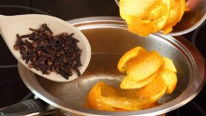 Bollire le bucce di 2 arance con un cucchiaio di chiodi di garofano: l’antichissimo rimedio delle nonne
