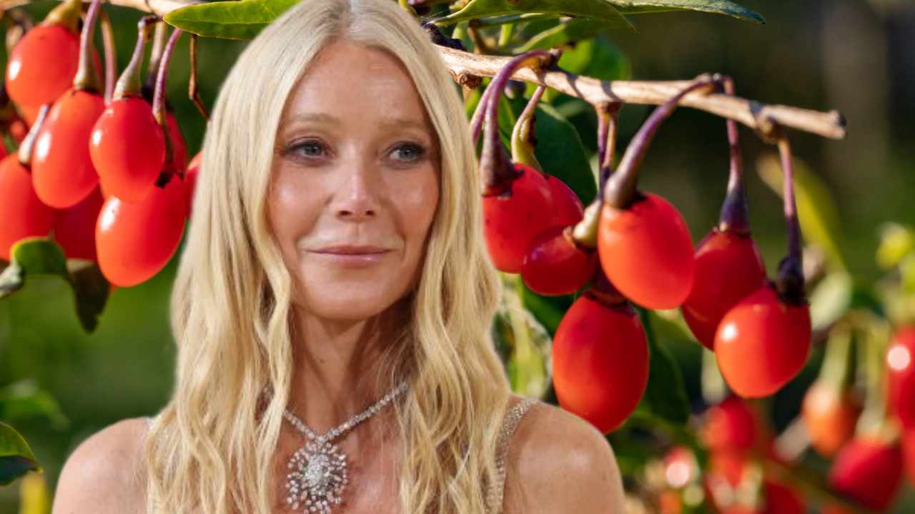 L'amore di Gwyneth Paltrow per le bacche di Goji