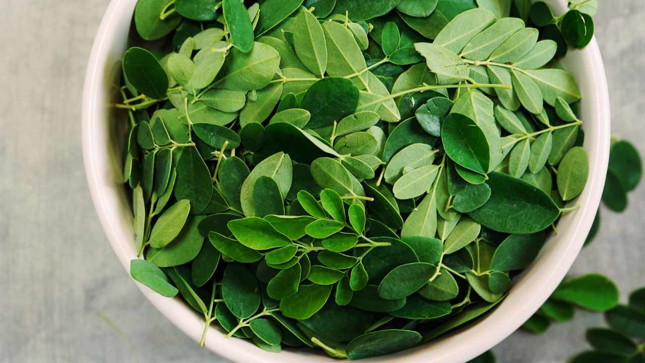 Piatto di moringa