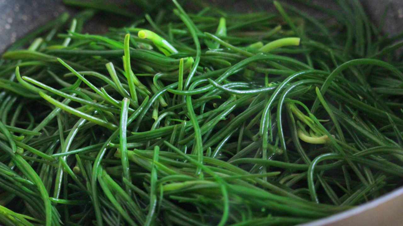 agretti