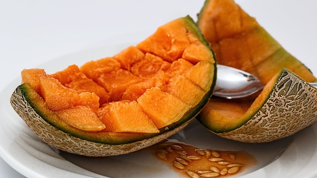 melone cantalupo