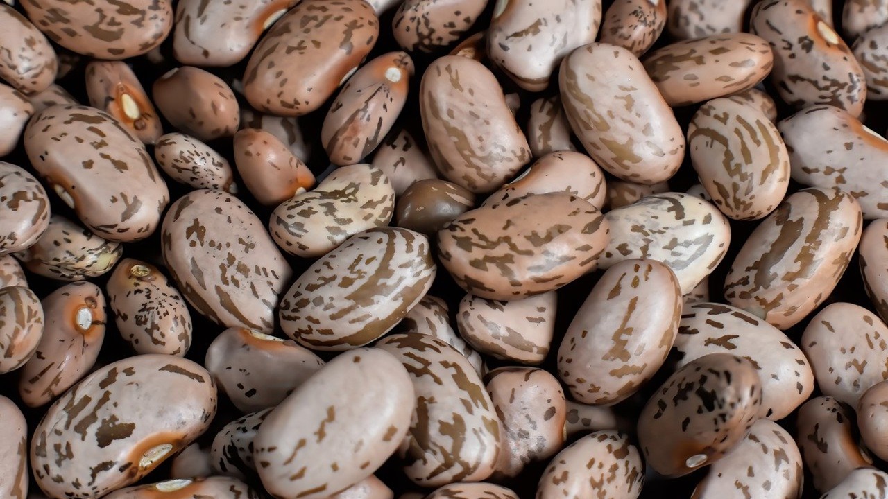 fagioli borlotti