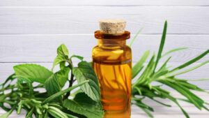 Tea Tree Oil, sapevi che è un disinfettante naturale? Come usarlo in casa